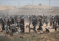 gazah10