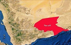 shabwah00