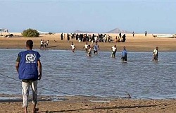 yaqeenonline.net013