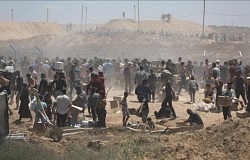 gazah10