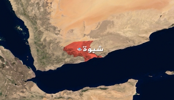 shabwah23