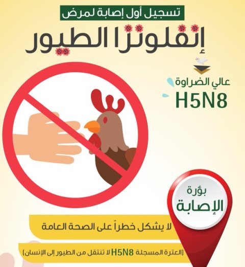 السعودية تعلن اكتشاف أول إصابة بإنفلونزا الطيور في الرياض