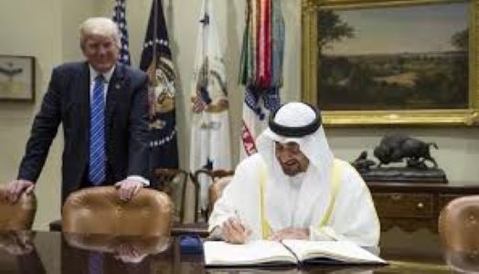 هيومن رايتس : أمريكا تمنح الإمارات مكافأة التطبيع في اليمن 
