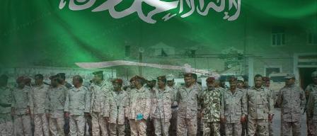 صورة إرشيفية