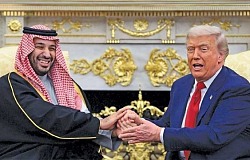 tramp pnsalman