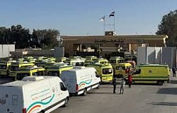 rafah4